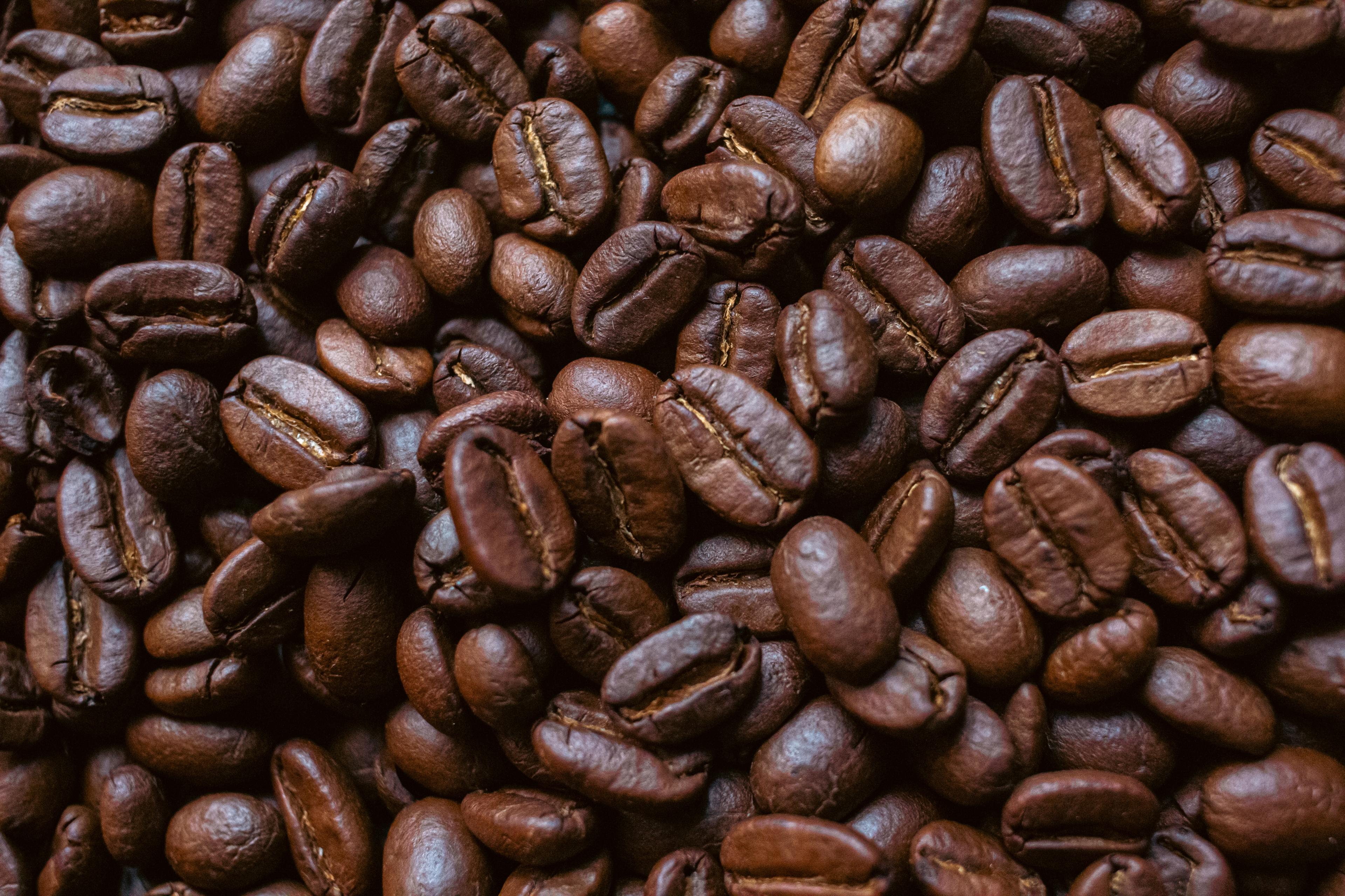 Lampung Fine Robusta