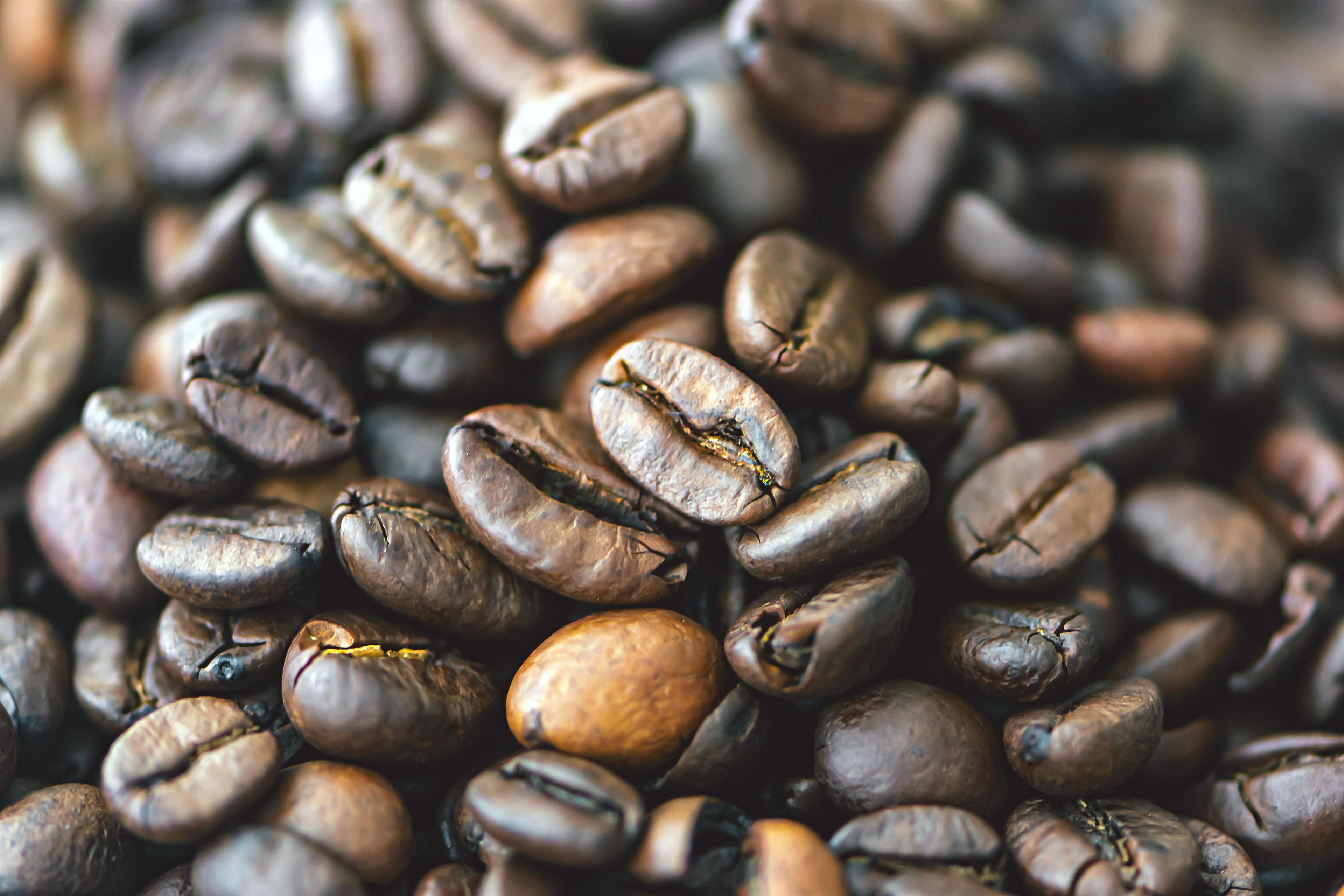 Flores Arabica & Robusta