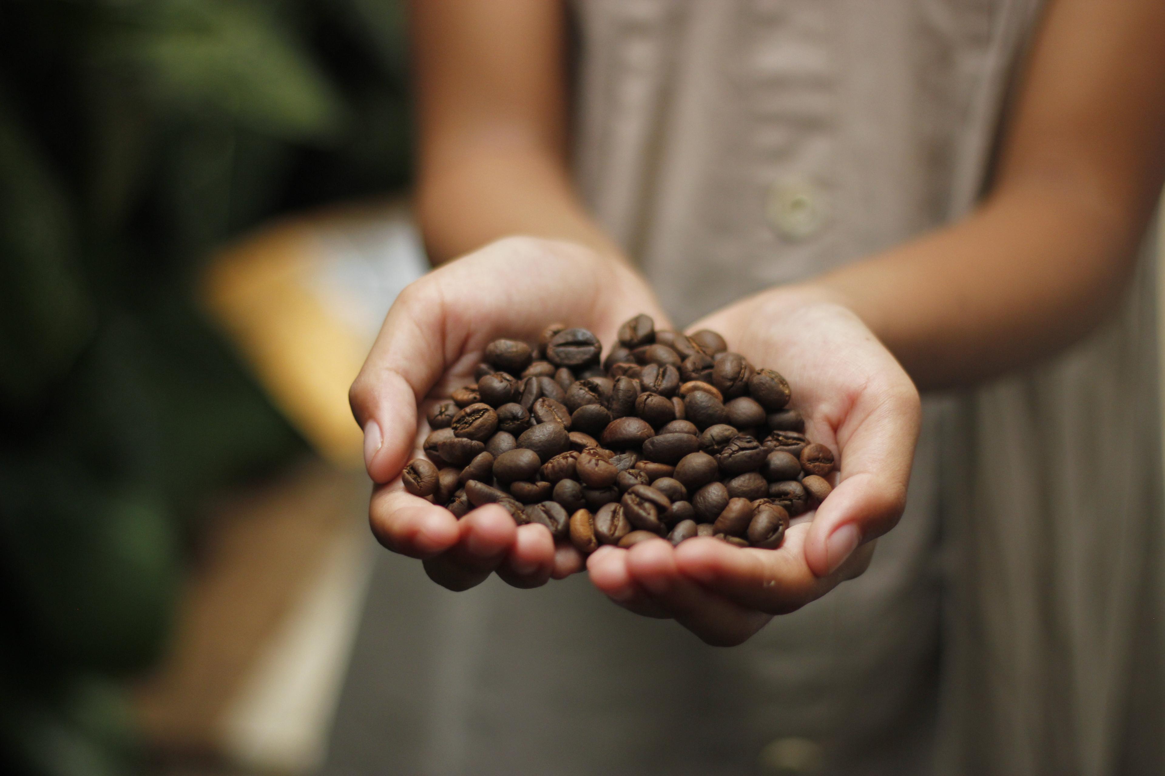 Macro Coffee Beans